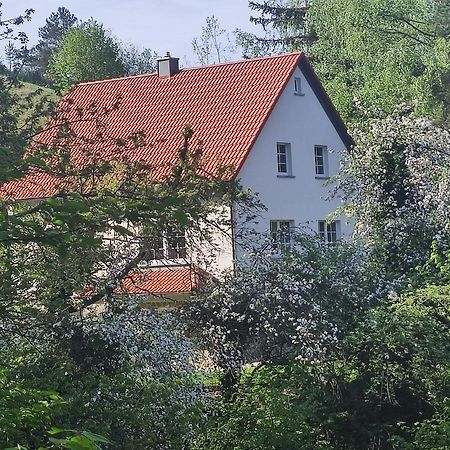 Ferienhaus Gluecksgriff פוטנשטיין מראה חיצוני תמונה